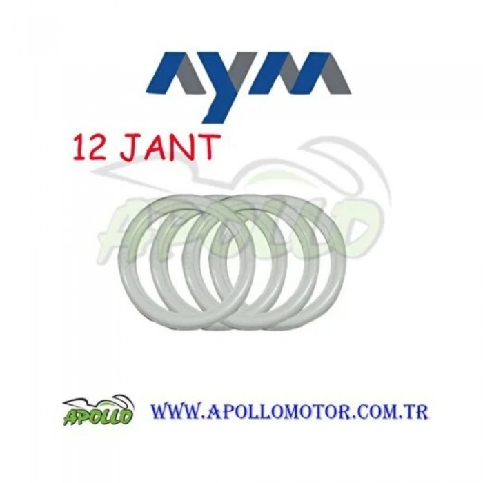 12 JANT YANAK -- AYM (KALIN)