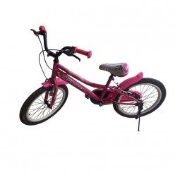 20 JANT BİSİKLET DUBLE JANT LÜX CENİX / BEBETO - PEMBE