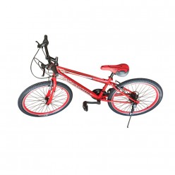 24 JANT MTB VİTESLİ BİSİKLET - ERKEK - KLASİK MODEL CENİX / MUSTANG