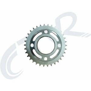 CG ARKA DİŞLİ 34 T - İTHAL