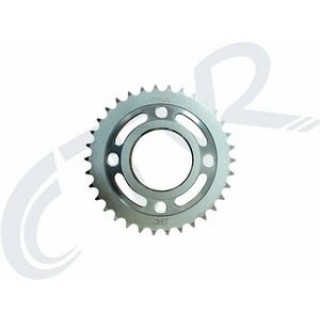 CG ARKA DİŞLİ 34 T - İTHAL