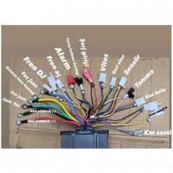 BUJA 48-60 V AKILLI BEYİN 500 W - GRİ (BJ-283)