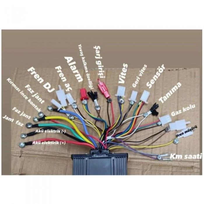 BUJA 48-60 V AKILLI BEYİN 500 W - GRİ (BJ-283)