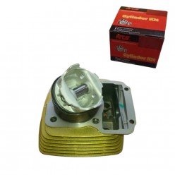 CG 200 SİLİNDİR SET 69 BOY 65,5 mm 13 PİM GOLD - OEM MTS