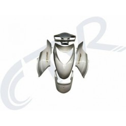 SPACY 110 KAPORTA SETİ GRİ BOYALI PARÇALAR