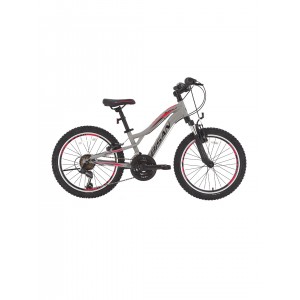 Bisan Buffalo Çocuk Bisikleti 11" Kadro 24" Jant