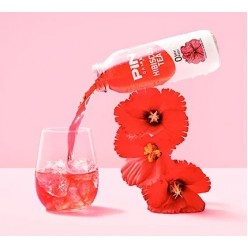 PİN DRINKS SIFIR KALORİ HİBİSKUS SOĞUK ÇAY