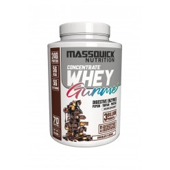 MASSQUİCK GURME WHEY PROTEIN 70 SERVİS