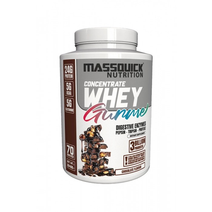 MASSQUİCK GURME WHEY PROTEIN 70 SERVİS MASSQUİCK GURME WHEY PROTEIN 70 SERVİS