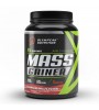 OLYMPEAK NUTRİTİON MASS GAİNER 900 GR