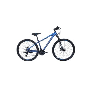 Vertech Burst HTG2 Dağ Bisikleti 17" Kadro 29" Jant Mavi Gri