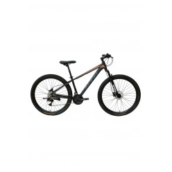Vertech Burst HTG1 Dağ Bisikleti 17" Kadro 29" Jant Siyah Altın