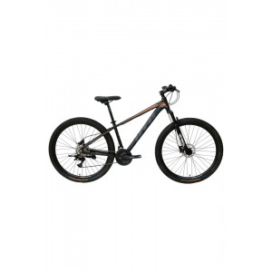 Vertech Burst HTG2 Dağ Bisikleti 17" Kadro 29" Jant Siyah Altın