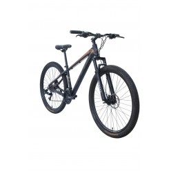 Vertech Burst HTG1 Dağ Bisikleti 17" Kadro 29" Jant Siyah Altın