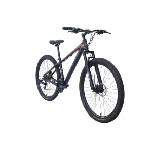 Vertech Burst HTG2 Dağ Bisikleti 17" Kadro 29" Jant Siyah Altın