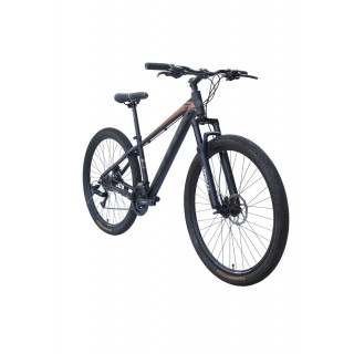 Vertech Burst HTG2 Dağ Bisikleti 17" Kadro 29" Jant Siyah Altın
